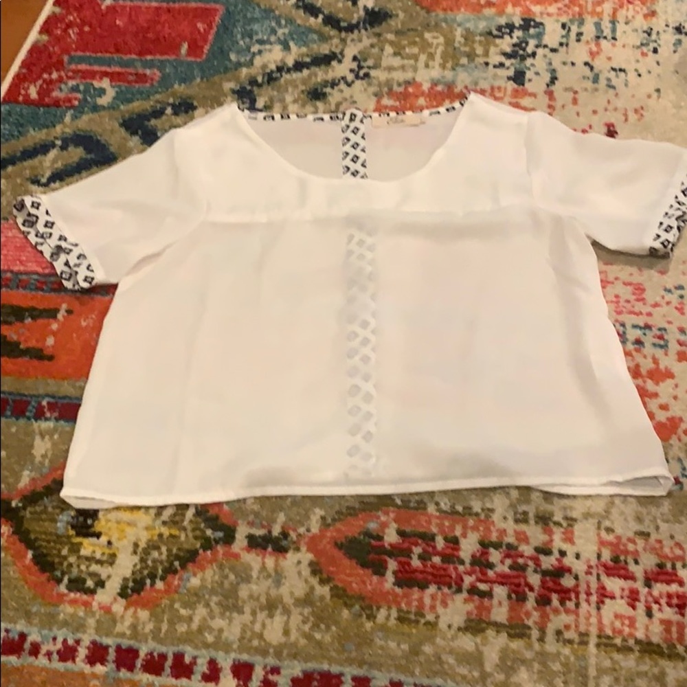 Summer crop top